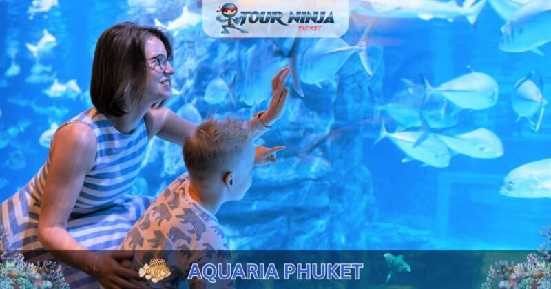 Aquaria Phuket #1 (Gallery Image) Aquaria Phuket #1 (Gallery Image)