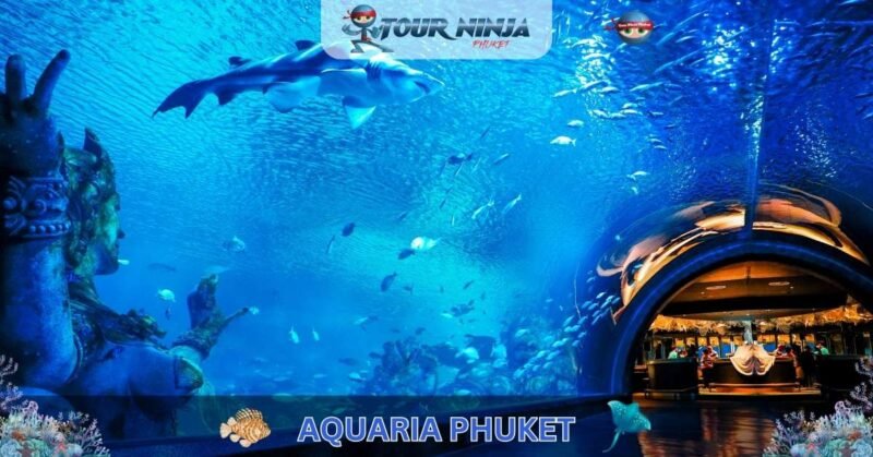 Aquaria Phuket #1 (Product Image)