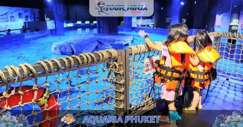 Aquaria Phuket #10 (Gallery Image) Aquaria Phuket #10 (Gallery Image)
