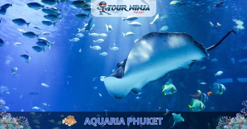 Aquaria Phuket #11 (Gallery Image) Aquaria Phuket #11 (Gallery Image)