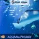 Aquaria Phuket #11 (Gallery Image)
