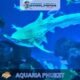 Aquaria Phuket #14 (Gallery Image)
