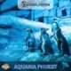 Aquaria Phuket #15 (Gallery Image)