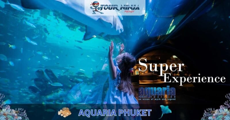 Aquaria Phuket #2 (Gallery Image) Aquaria Phuket #2 (Gallery Image)