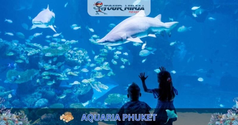 Aquaria Phuket #3 (Gallery Image) Aquaria Phuket #3 (Gallery Image)