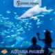 Aquaria Phuket #3 (Gallery Image)
