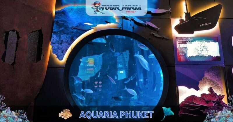 Aquaria Phuket #4 (Gallery Image) Aquaria Phuket #4 (Gallery Image)
