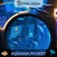 Aquaria Phuket #4 (Gallery Image)