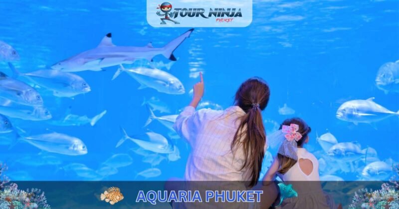 Aquaria Phuket #5 (Gallery Image) Aquaria Phuket #5 (Gallery Image)