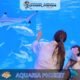 Aquaria Phuket #5 (Gallery Image)