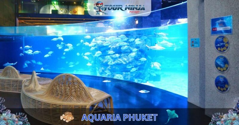 Aquaria Phuket #6 (Gallery Image) Aquaria Phuket #6 (Gallery Image)