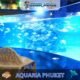 Aquaria Phuket #6 (Gallery Image)