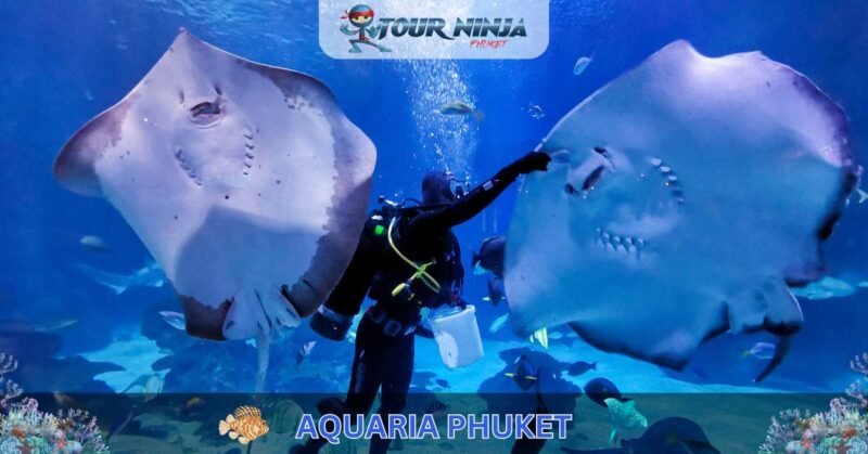 Aquaria Phuket #7 (Gallery Image) Aquaria Phuket #7 (Gallery Image)
