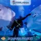 Aquaria Phuket #7 (Gallery Image)