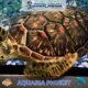Aquaria Phuket #8 (Gallery Image)