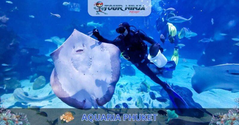 Aquaria Phuket #9 (Gallery Image) Aquaria Phuket #9 (Gallery Image)