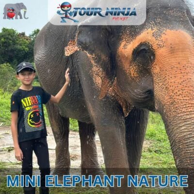 bukit elephant park young boy with black hat walking next to adult elephant with beautiful lake and hills in background