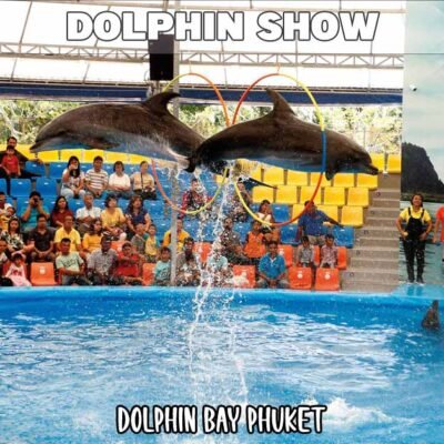 two dolphins jumps high up through some hula hoop rings hanging down from the ceiling in front of a large crowd