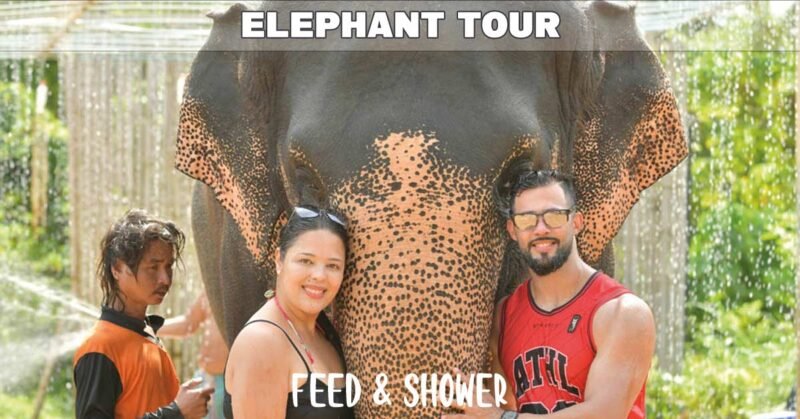 happy couple with elephant and mahout in rain shower