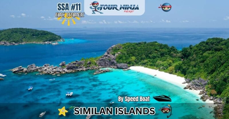 idyllic aerial view of typical Similan island with clear water white sandy beach and lush green cover