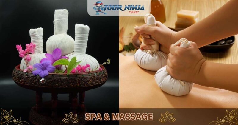 TARN TARA - Gallery Image 9 TARN TARA - Gallery Image 9