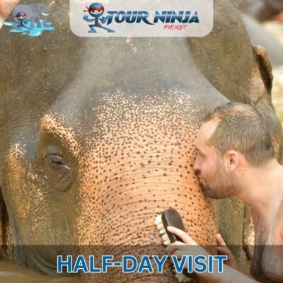 man kissing and scrubbing elephant in waist deep water pool with several other tourist and elephants in background