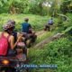 off road atv excursions with a group of atv riders following each other on a jungle trail seen from their back