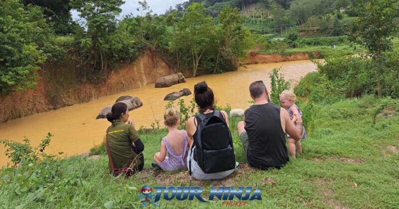 bukit-elephant-bathing-bu1 bukit elephant park tourist family sit in elevated green field watching elephants in muddy pool below
