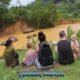 bukit elephant park tourist family sit in elevated green field watching elephants in muddy pool below
