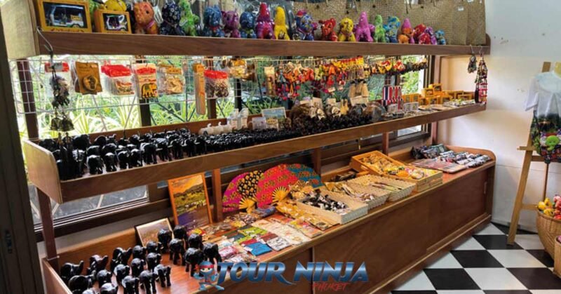 bukit-elephant-food-bu4 bukit elephant park shop showing wall shelves with trinkets and souvenirs for sale