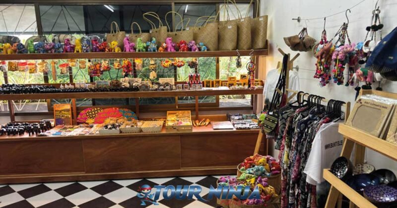 bukit-elephant-food-bu5 bukit elephant park shop showing wall shelves with trinkets and souvenirs for sale