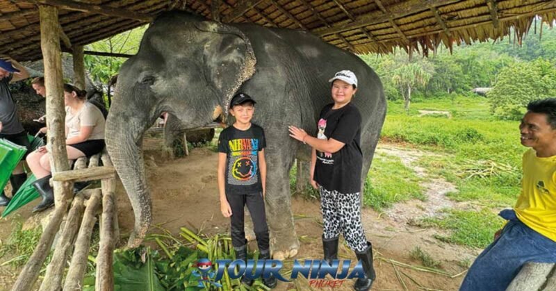 bukit-elephant-mahout-bu2 bukit elephant park boy and girl posing beside elephant with smiling mahout seated nearby