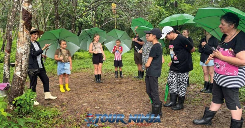 bukit-elephant-mahout-bu3 bukit elephant group of tourists stand in circle with green umbrellas while asking questions to guide at the center
