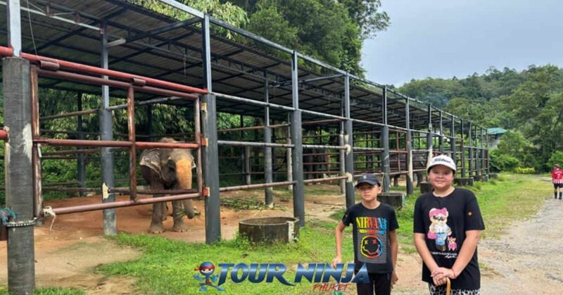 bukit-elephant-park-bu10 bukit elephant park boy and girl posing near shaded elephant enclosure with one elephant in the background