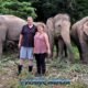 bukit elephant park tourist couple posing in front of three grazing elephants