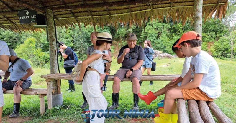 bukit-elephant-park-bu5 bukit elephant park tourists resting on pole seats in shaded area during elephant walk