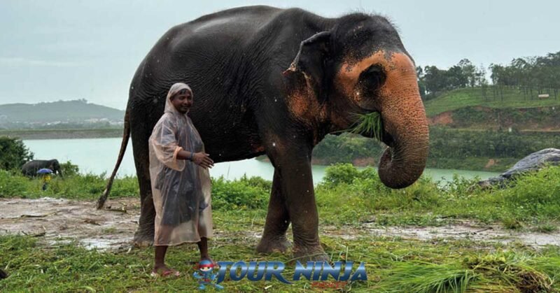 bukit-elephant-park-walk-bu1 bukit-elephant-park-walk-bu1