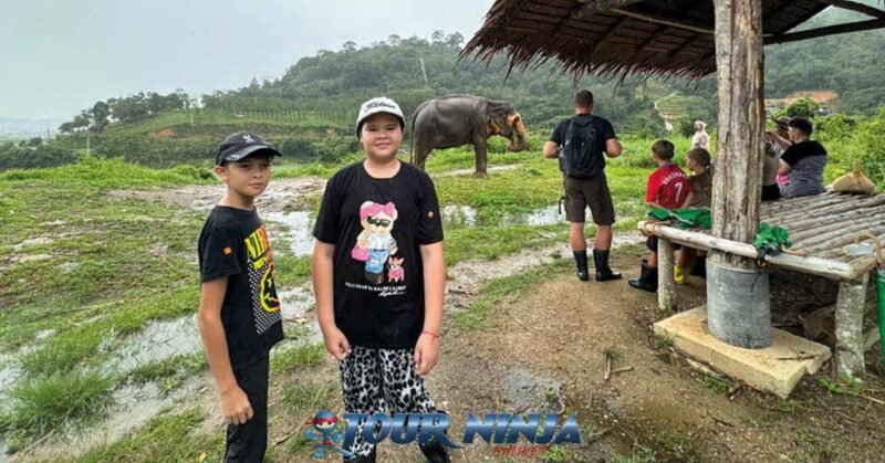 bukit-elephant-park-walk-bu3 bukit elephant park boy and girl posing near shaded hut where other tourists are watching elephants in the green field