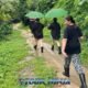 bukit elephant park tourists with umbrellas following guide along path to walk with elephants
