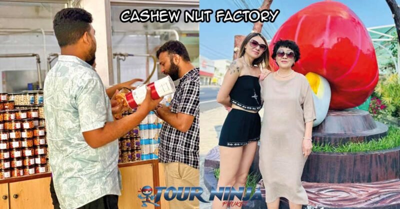 city-tour-cashew-nut-factory-sb1 phuket city tour visiting the local cashew nut factory in phuket with customers buying product from their store
