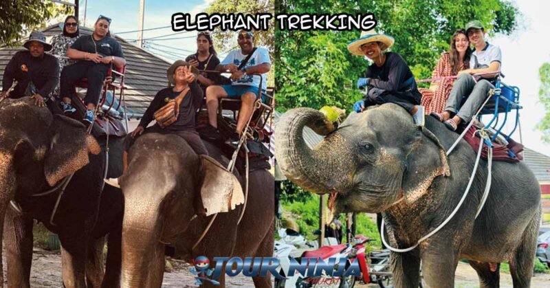 city-tour-elephants-trekking-sb1 city tour including 30 min elephant riding with customer riding the elephants together with the elephant care taker