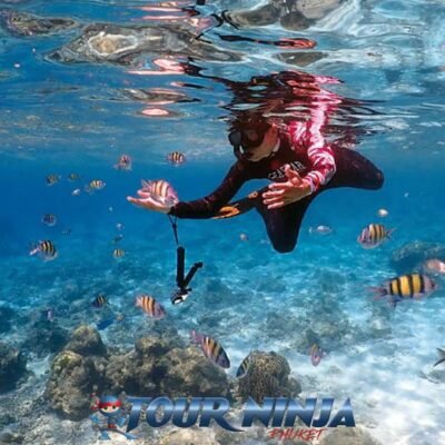 Aquariums