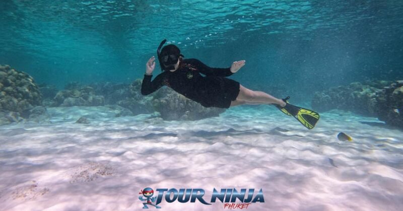 daytrip-racha-islands-snorkeling-s4 racha islands blue clear water with a snorkeler in black outfit and yellow fins fully submerged posing for the camera