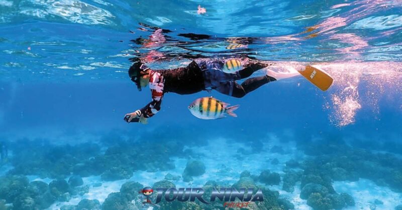 daytrip-racha-islands-snorkeling-s5 racha islands blue clear water with a snorkeler holding a camera taking photos underwater with two colorful fishes swimming along