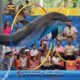 a dolphin jumps high up through a hula hoop ring hanging down from the ceiling in front of a crowd