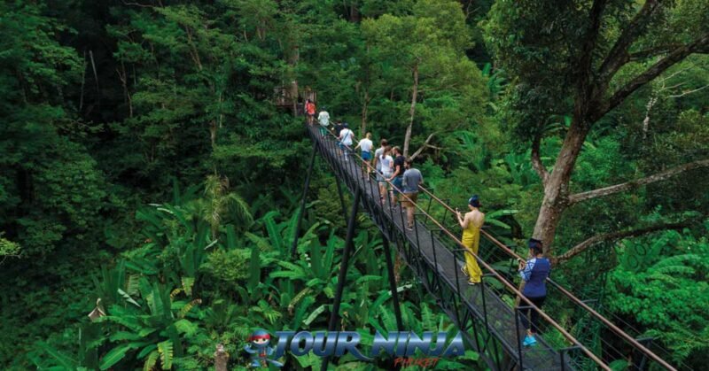 family-friendly-zipline-tours-phuket-hw1 zipline eco tour in phuket with a group of twelve people walking across a long narrow steel bridge