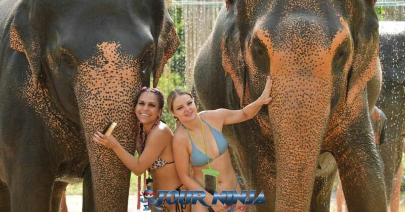 feed-shower-elephant-e1 smiling girls in swimsuits posing with two elephants in rain shower