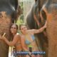 smiling girls in swimsuits posing with two elephants in rain shower