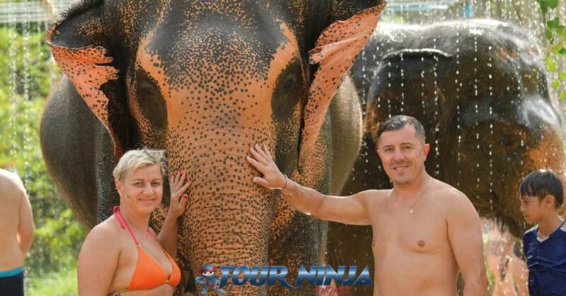 feed-shower-elephant-e2 happy couple in swimsuits posing with two elephants in rain shower