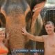 happy couple in swimsuits posing with two elephants in rain shower